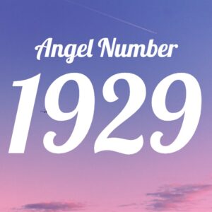 エンジェルナンバー【1929】の意味は？片思い・復縁・金運の意味