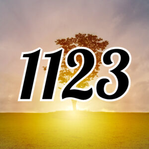 エンジェルナンバー【1123】の意味。恋愛（片思い、復縁）ツインレイなど解説