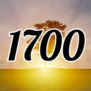 エンジェルナンバー【1700】の意味は？片思いやツインレイなどの意味