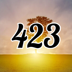 エンジェルナンバー【423】の意味は?恋愛や仕事などの意味