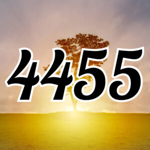 エンジェルナンバー【4455】の意味は？片思い、復縁、金運などの意味