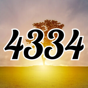 エンジェルナンバー【4334】のツインレイ、金運などの意味解説