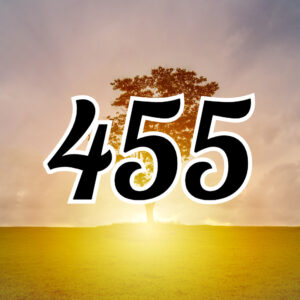 エンジェルナンバー【455】の意味は?片思い、ツインレイなどの意味