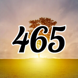 エンジェルナンバー【465】の恋愛や仕事、金運の意味を解説