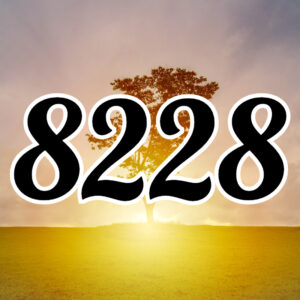 エンジェルナンバー【8228】のツインレイ、仕事、金運などの意味解説