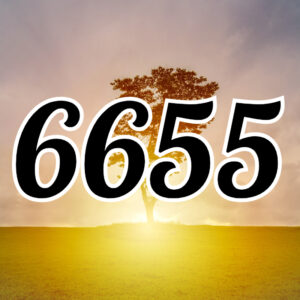 エンジェルナンバー【6655】の意味は？恋愛や仕事、金運などの意味