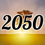 エンジェルナンバー【2050】の意味は？恋愛や仕事、金運の意味