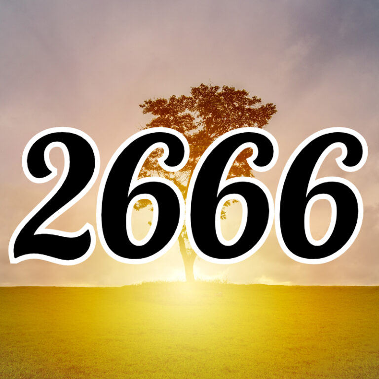 2666 Number エンジェルナンバー【2666】の意味。恋愛や仕事、金運など解説 | エンジェルナンバー早見表 - Angel Number Club