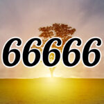 エンジェルナンバー【66666】の意味。恋愛、片思い、ツインレイなど解説