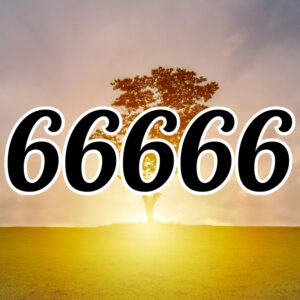 エンジェルナンバー【66666】の意味。恋愛、片思い、ツインレイなど解説